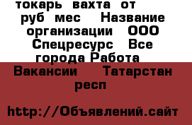 токарь. вахта. от 50 000 руб./мес. › Название организации ­ ООО Спецресурс - Все города Работа » Вакансии   . Татарстан респ.